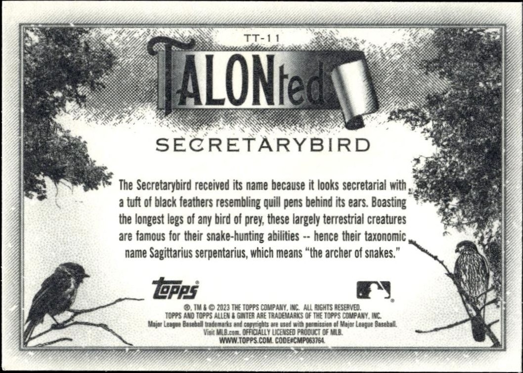 2023 Topps Allen & Ginter Secretarybird #TT-11 baseball trading card back