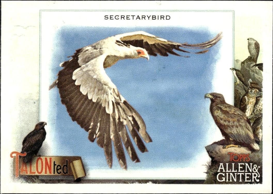 2023 Topps Allen & Ginter Secretarybird #TT-11 baseball trading card front