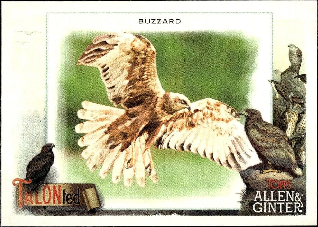2023 Topps Allen & Ginter Buzzard #TT-6 baseball trading card front