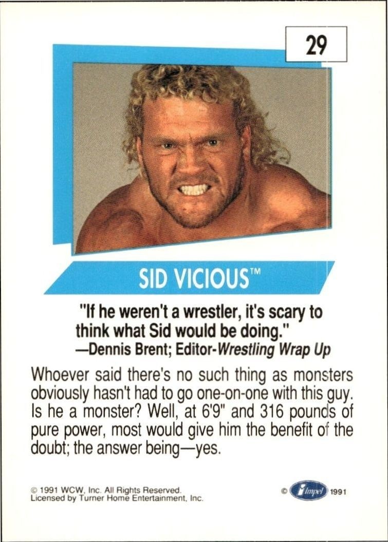 1991 Impel Sid Vicious #29 wrestling trading card back