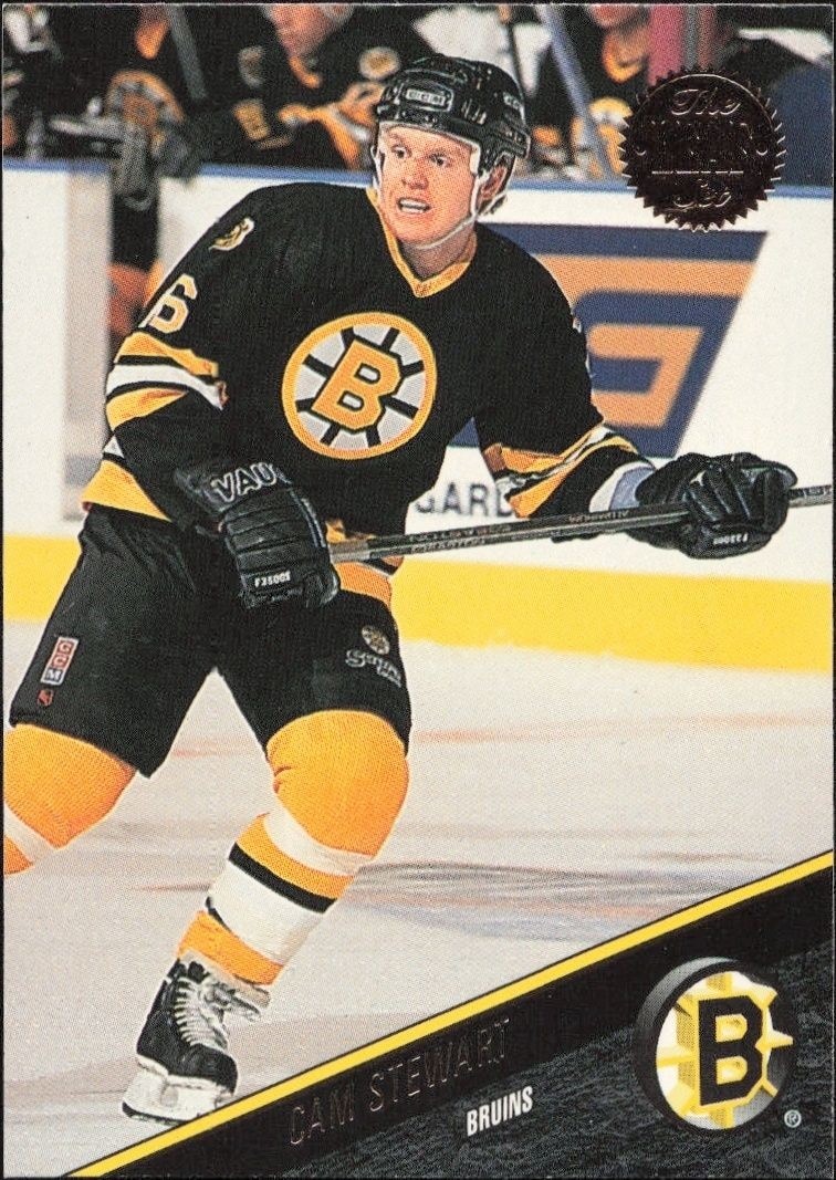 1993-94 Leaf Series 2 Cam Stewart #337 trading card