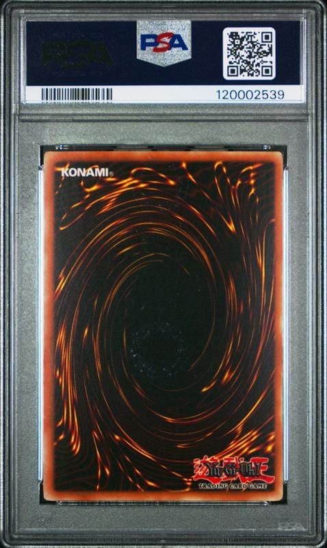 2005 Yu-Gi-Oh! Elemental Energy King's Knight #EEN-EN006 Yu-Gi-Oh! card back