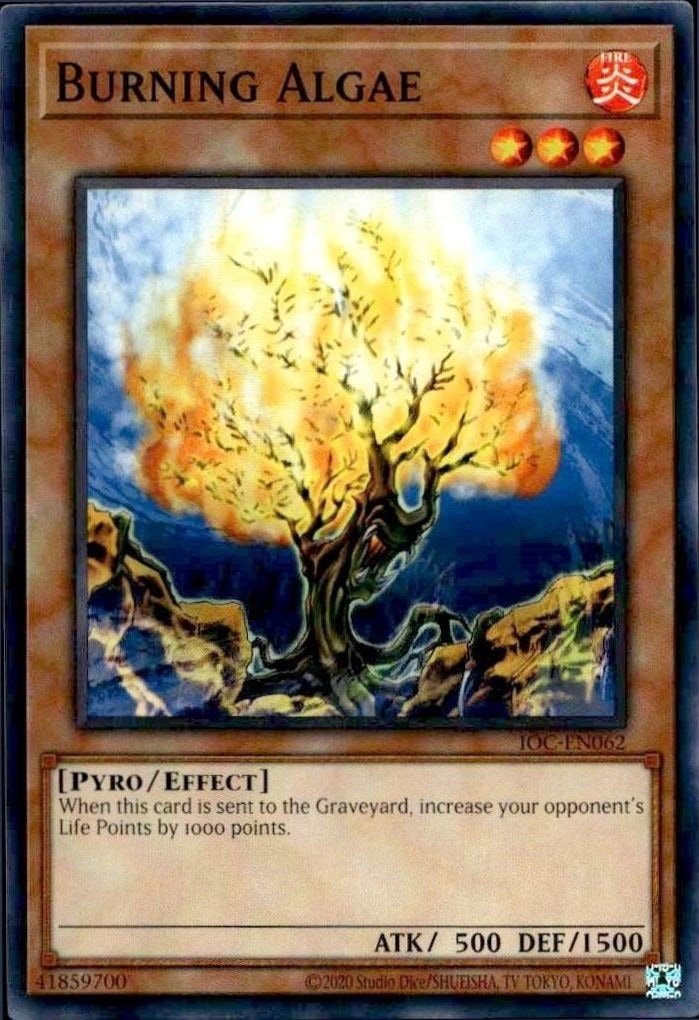 2023 Yu-Gi-Oh Invasion of Chaos Burning Algae #IOC-EN062 trading card