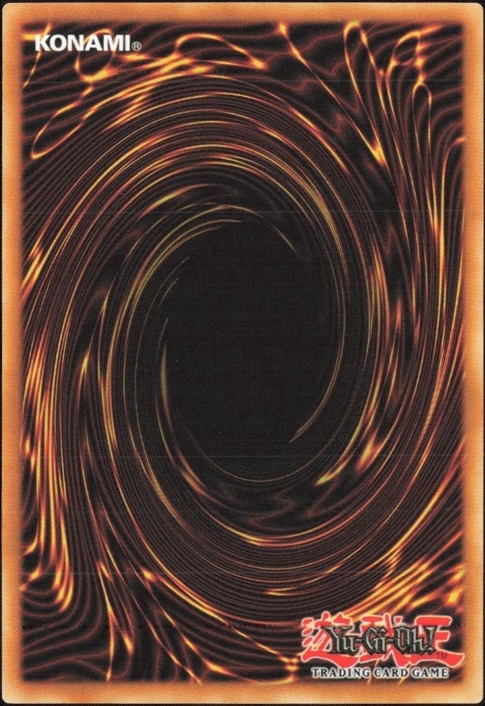 2023 Yu-Gi-Oh! Spell Ruler Turtle Oath #SRL-EN066 Yu-Gi-Oh! card back