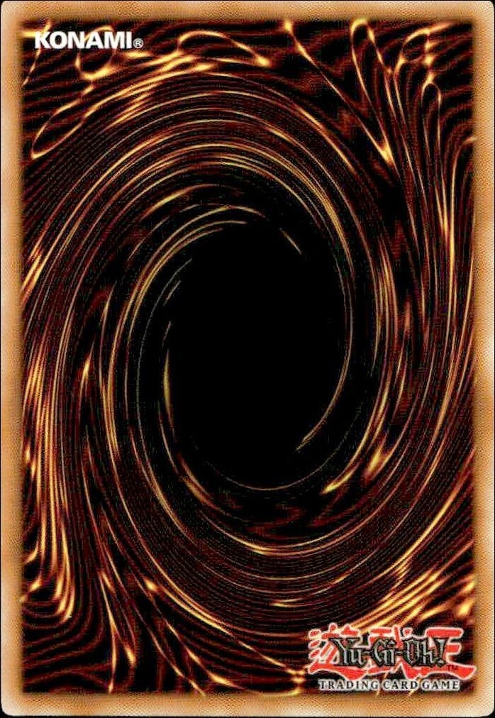 2006 Yu-Gi-Oh! Duelist League Promo Blackwing #DL09-EN011 Yu-Gi-Oh! card back
