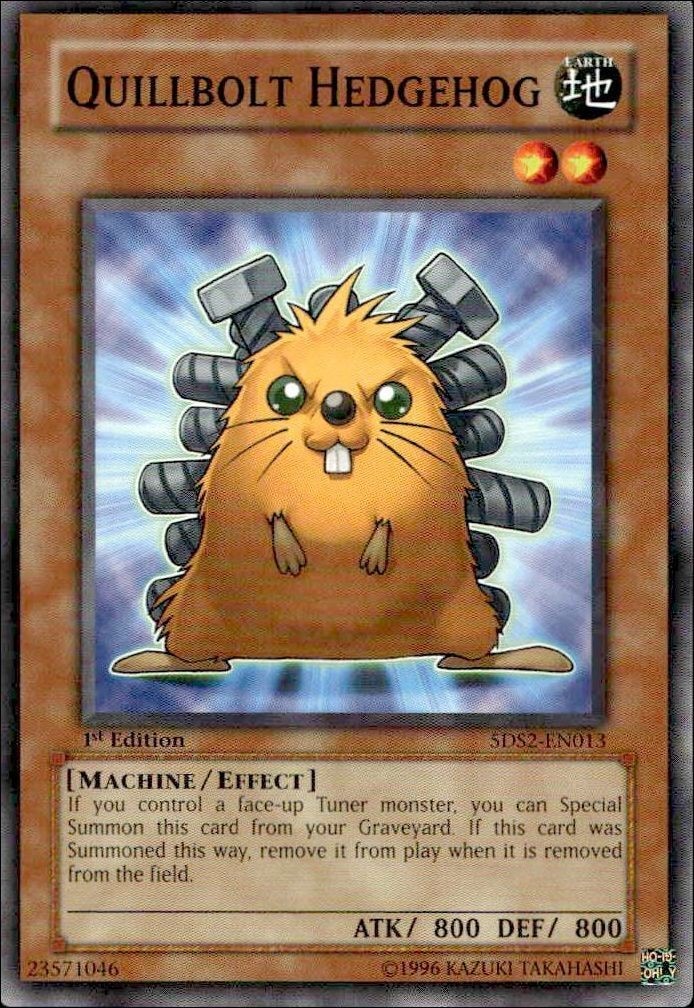 2009 Yu-Gi-Oh Starter Deck: Yu-Gi-Oh! 5D's 2009 Quillbolt Hedgehog #5DS2-EN013 trading card