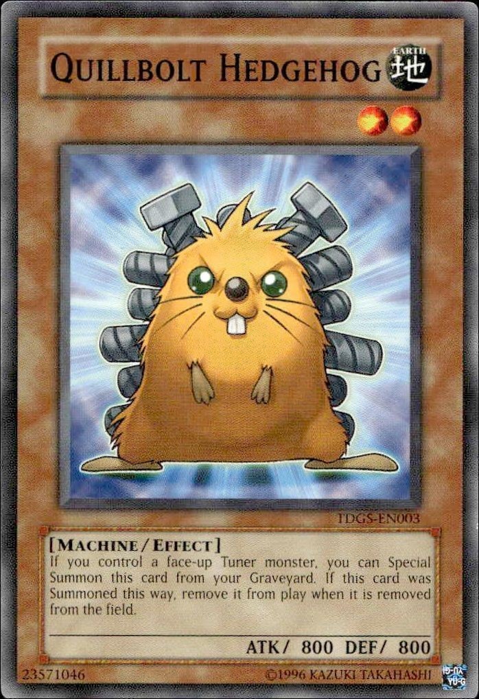 2009 Yu-Gi-Oh Starter Deck: Yu-Gi-Oh! 5D's 2009 Quillbolt Hedgehog #5DS2-EN013 trading card
