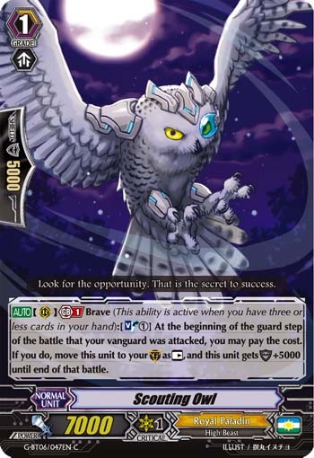 Scouting Owl - Image 1