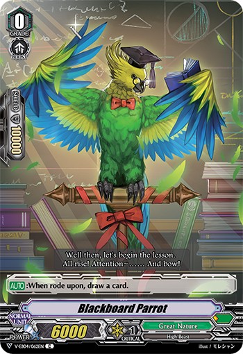 Blackboard Parrot - Image 1