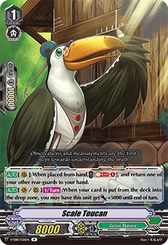Scale Toucan - Image 1