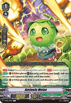 Amimelo Melon - Image 1