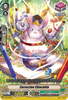 Correction Chinchilla - Image 1