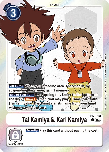 Tai Kamiya & Kari Kamiya - Image 1
