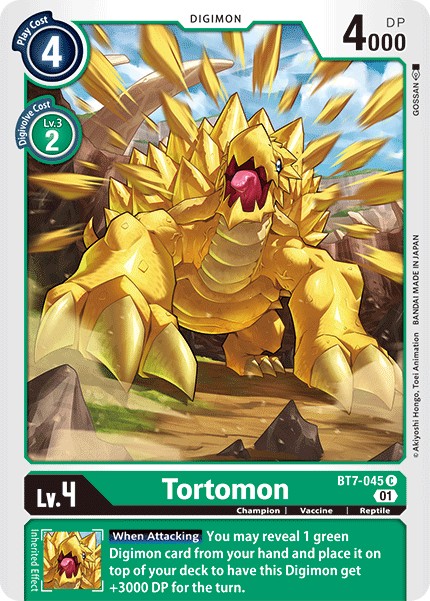 Tortomon - Image 1