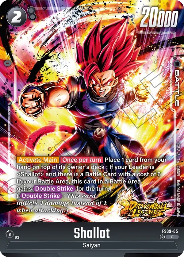 Shallot - Image 1
