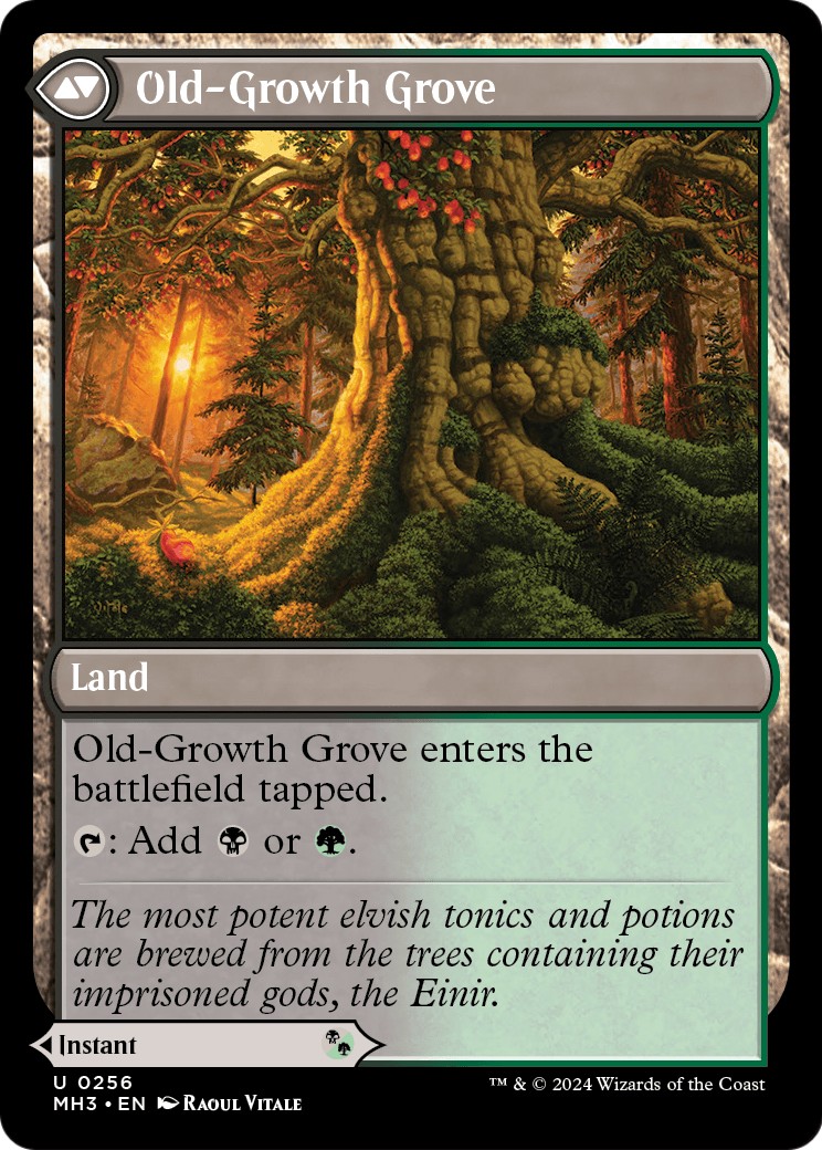 Revitalizing Repast // Old-Growth Grove thumbnail 2