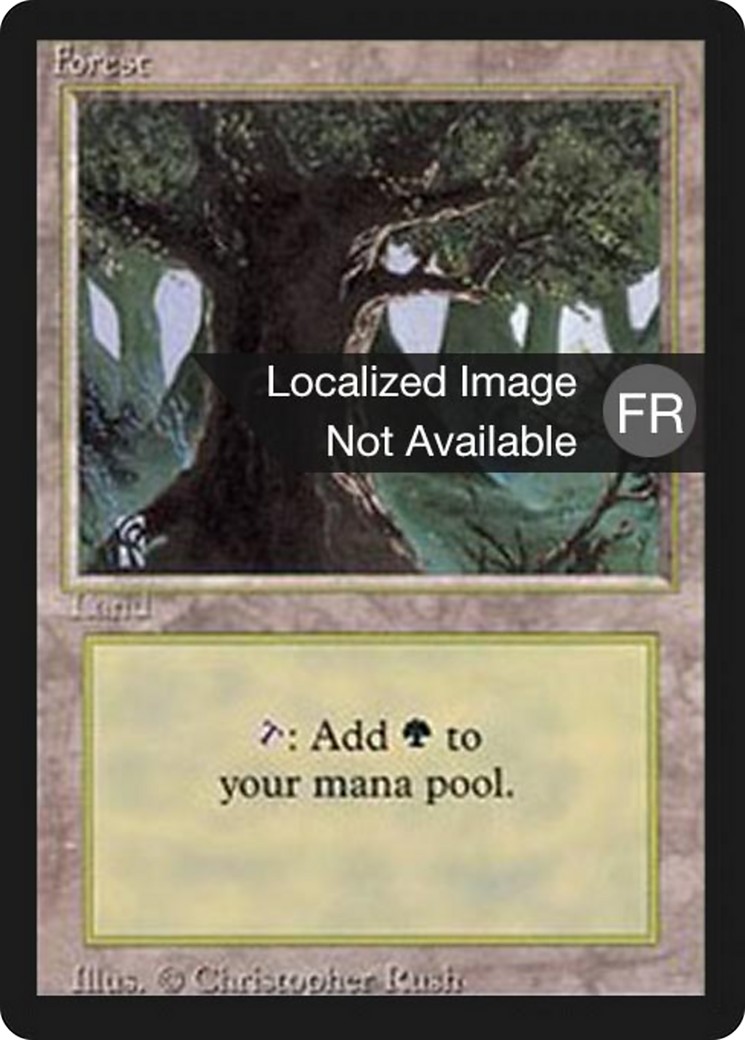 Forest - Image 1