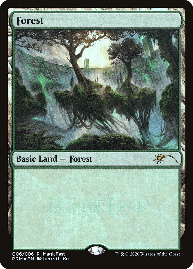 Forest - Image 1