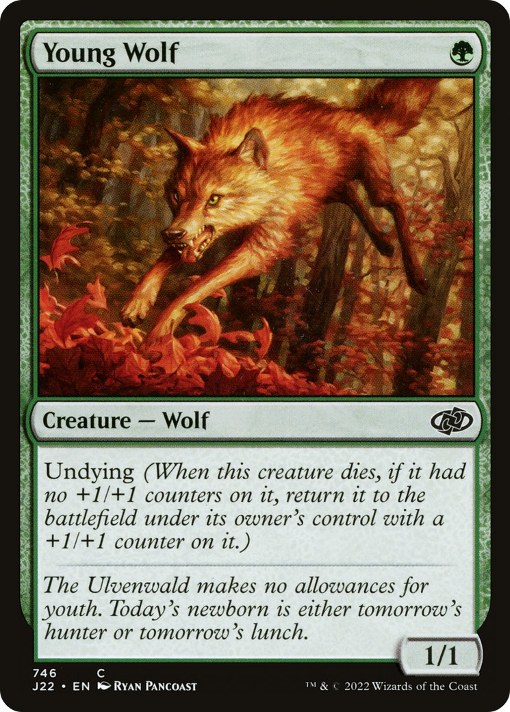 Young Wolf - Image 1