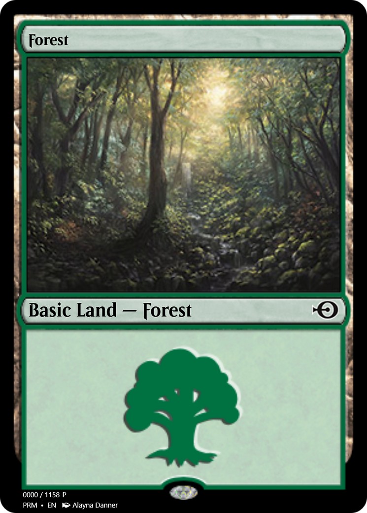 Forest - Image 1