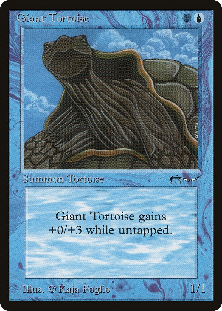 Giant Tortoise - Image 1