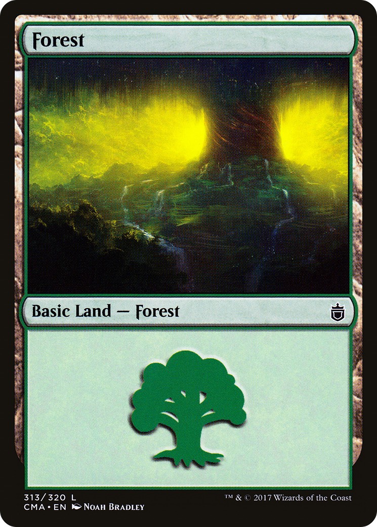 Forest - Image 1