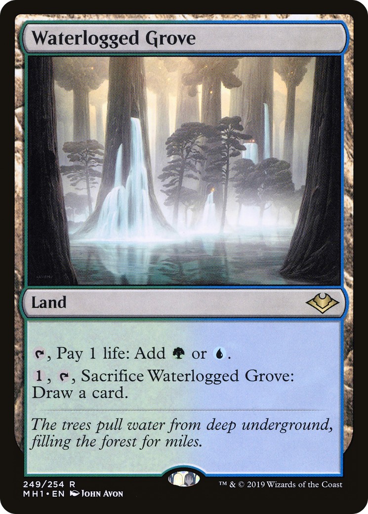 2019 Magic: The Gathering Modern Horizons 2019 Magic: The Gathering Modern Horizons #249 trading card