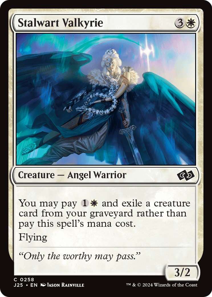 Stalwart Valkyrie - Image 1