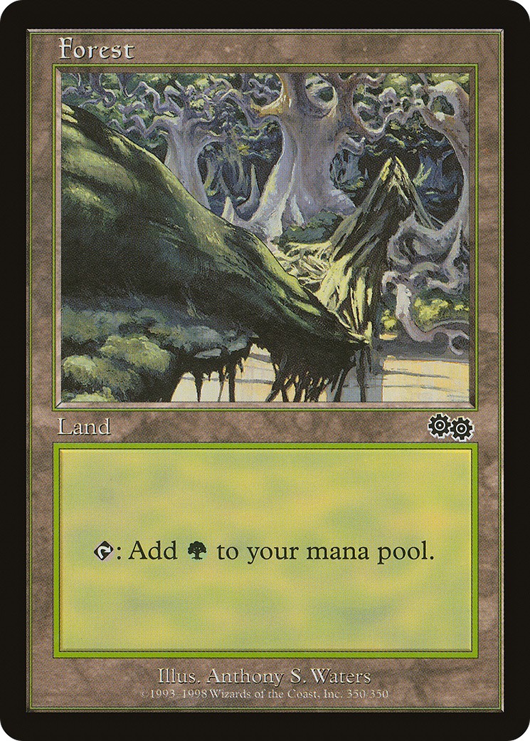 Forest - Image 1