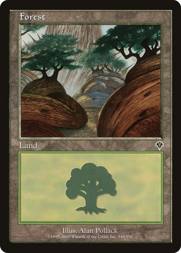 Forest - Image 1