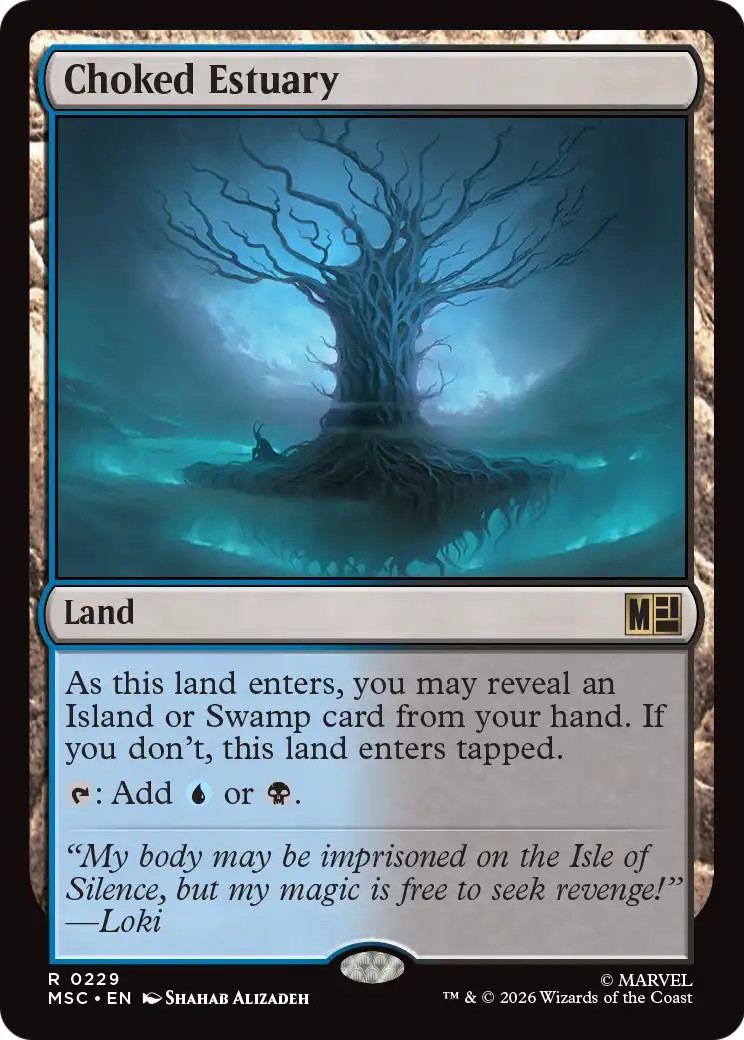 Choked Estuary - Image 1