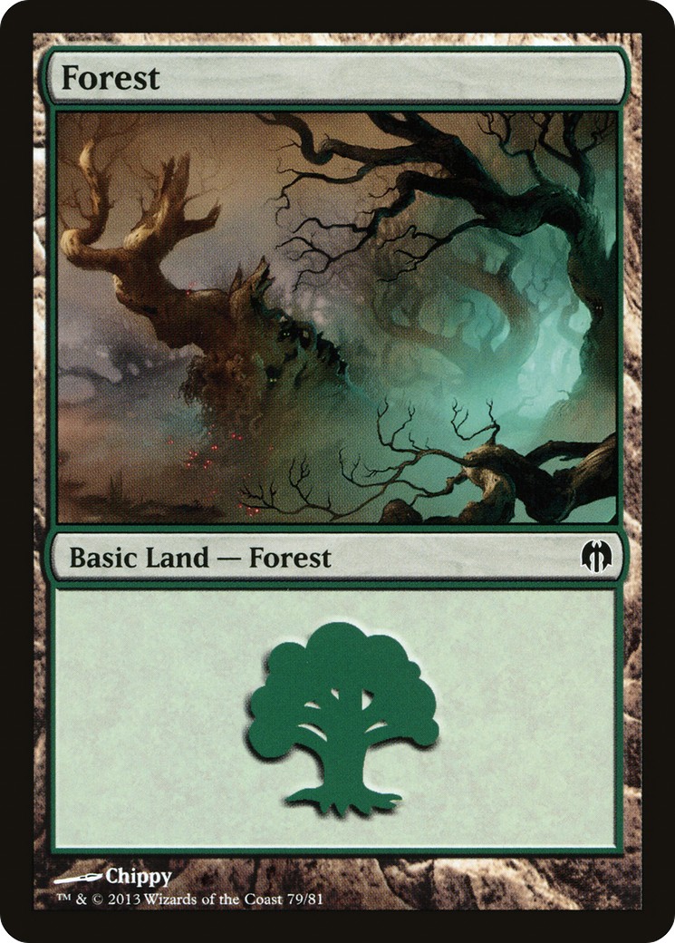 Forest - Image 1