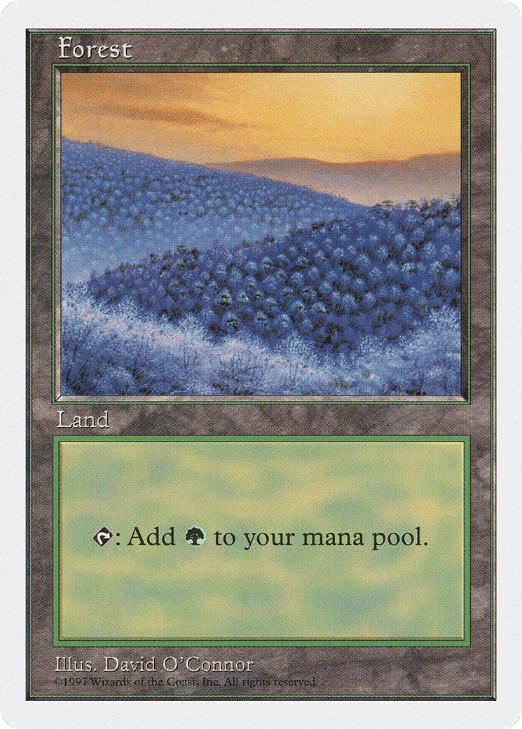 Forest - Image 1