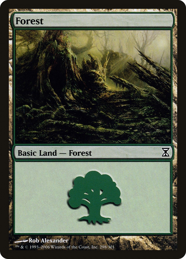 Forest - Image 1