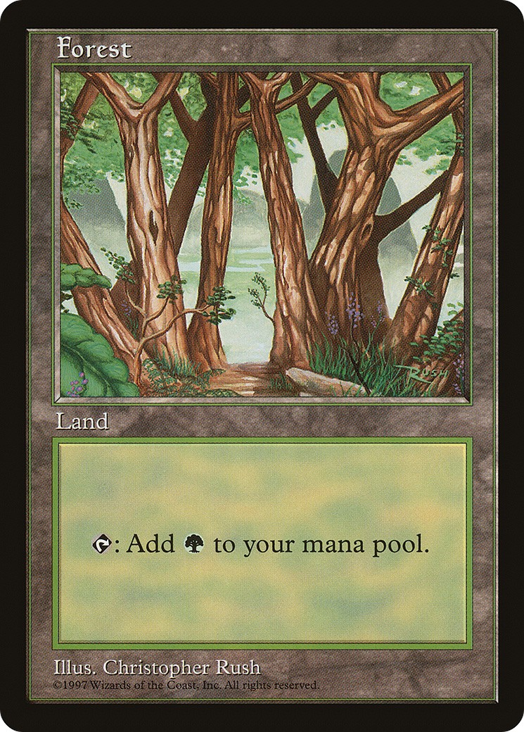Forest - Image 1