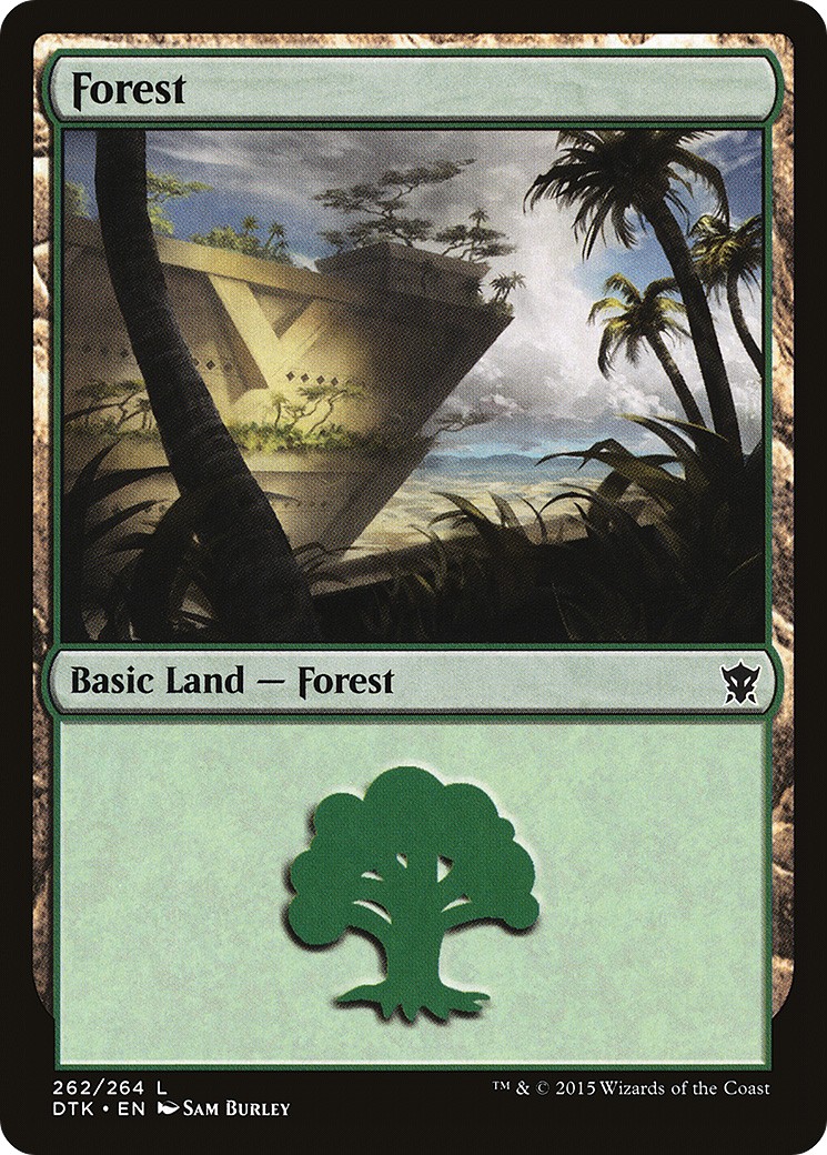Forest - Image 1