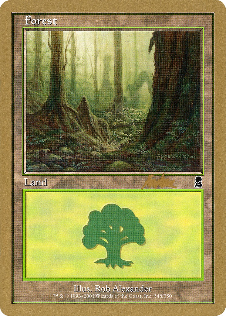 Forest - Image 1