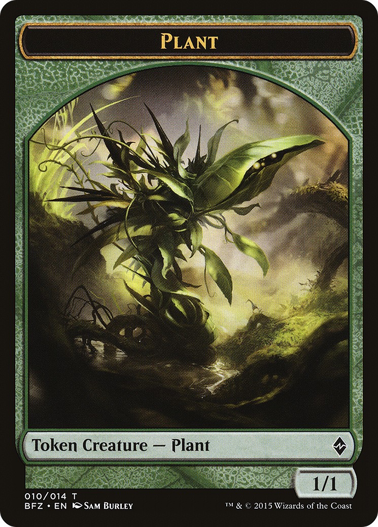 Plant - Image 1
