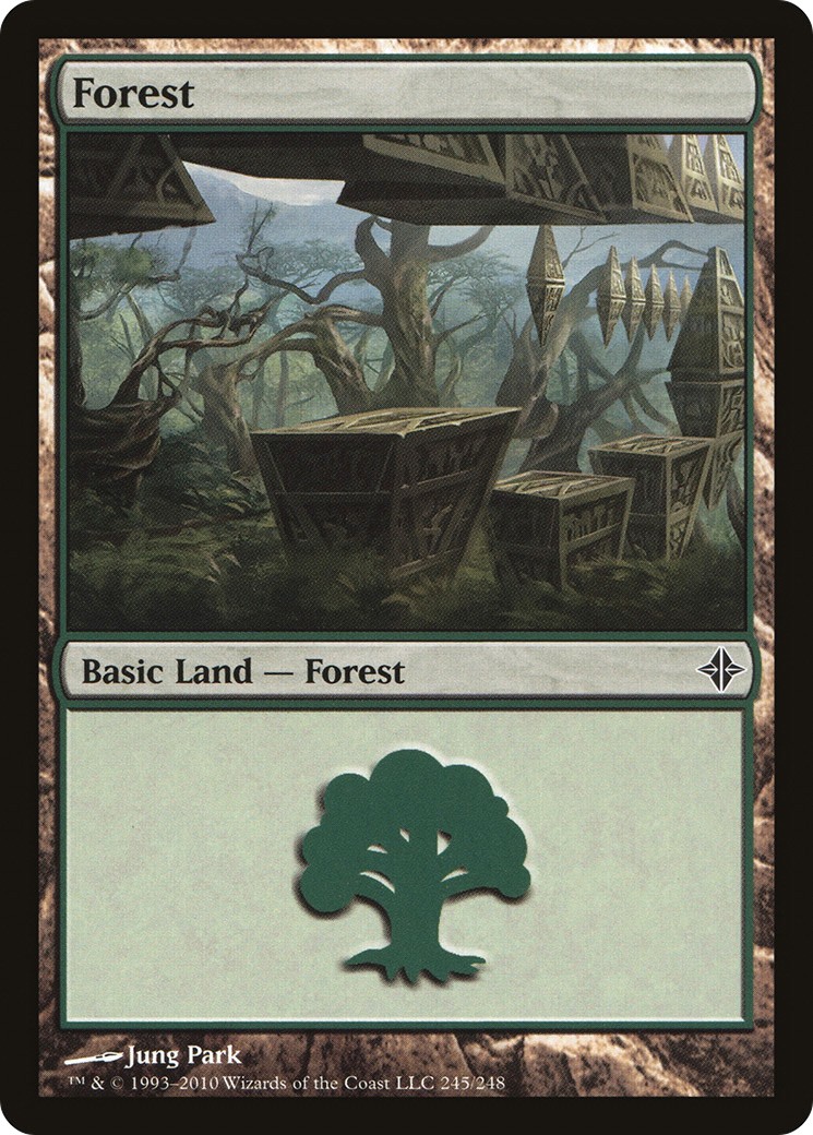 Forest - Image 1