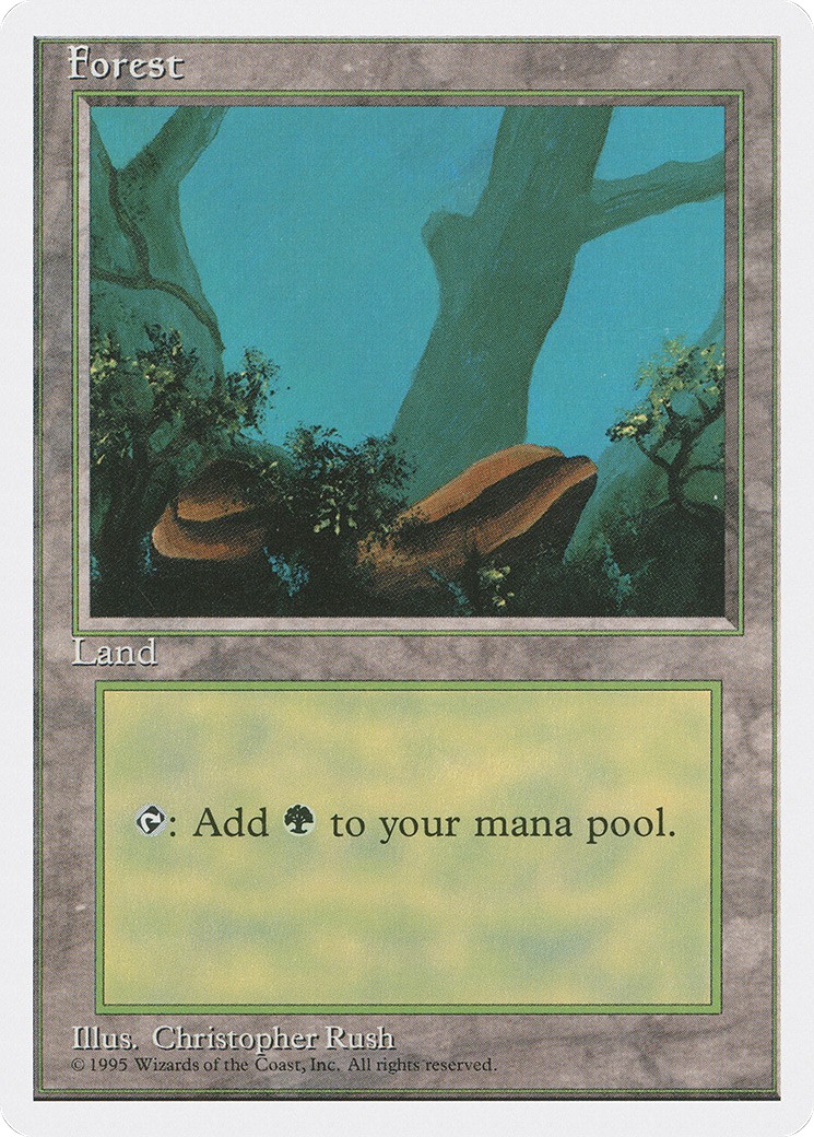 Forest - Image 1