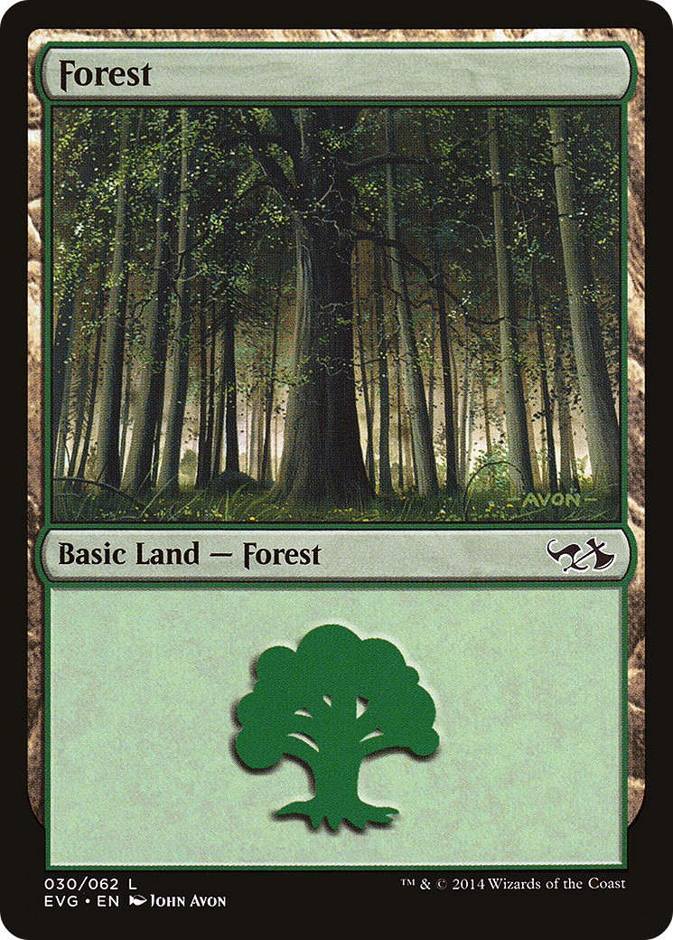 Forest - Image 1