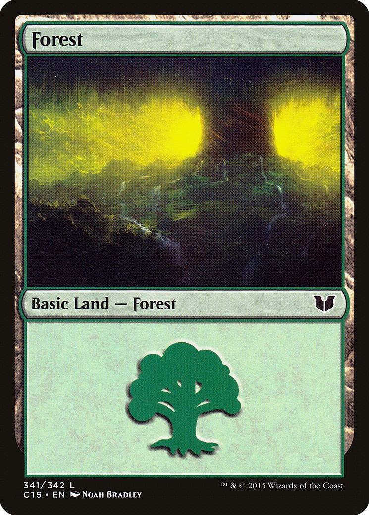 Forest - Image 1