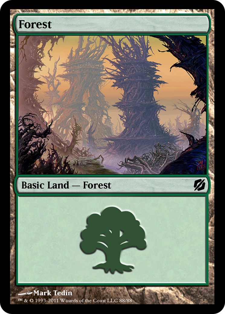 Forest - Image 1
