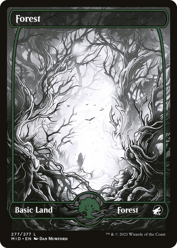 Forest - Image 1