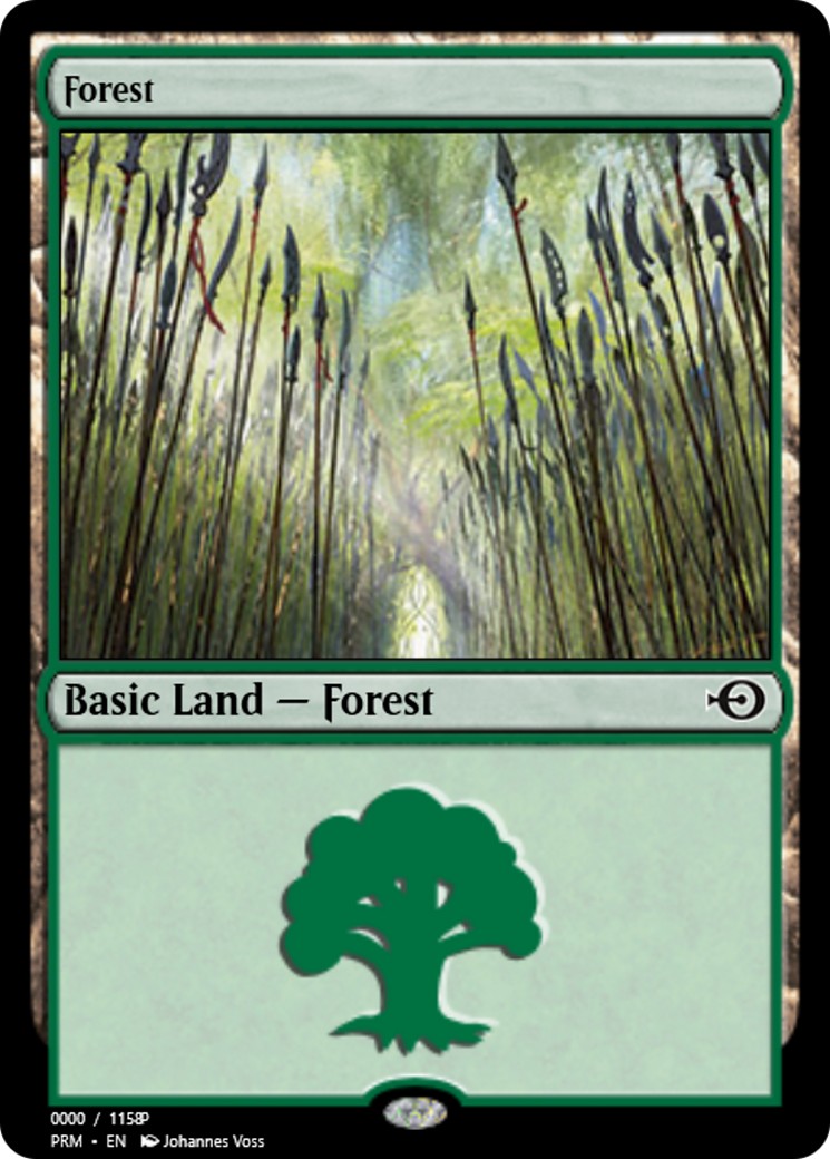 Forest - Image 1