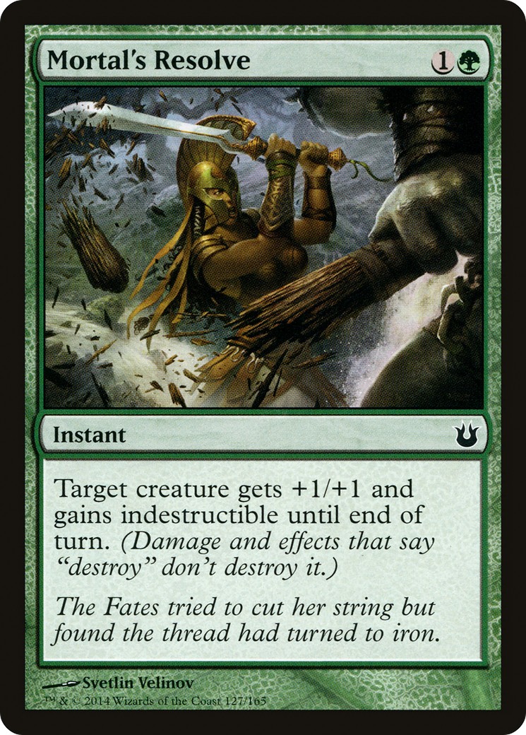 Mortal's Resolve - Image 1