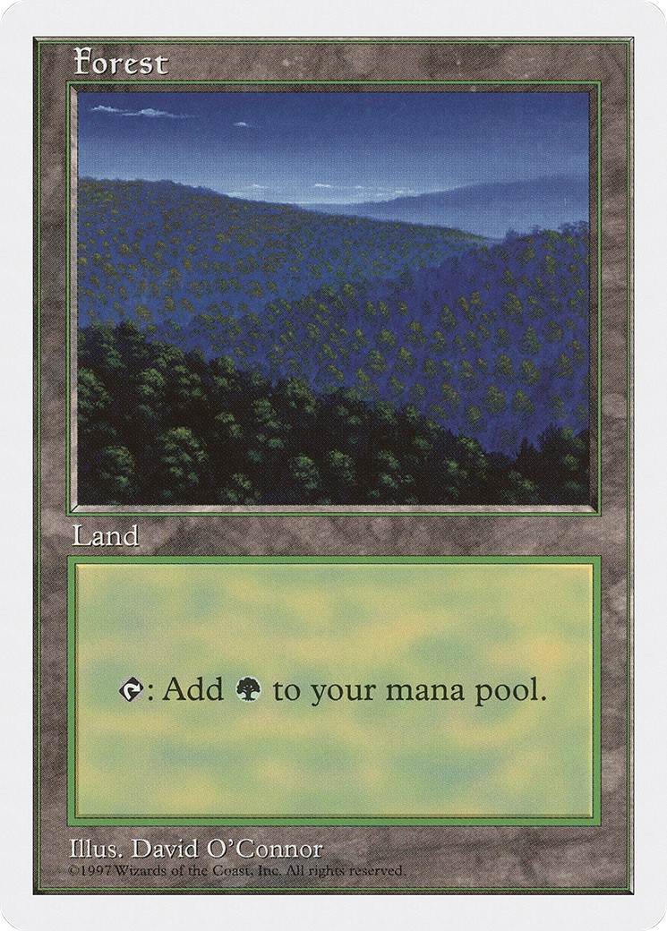 Forest - Image 1