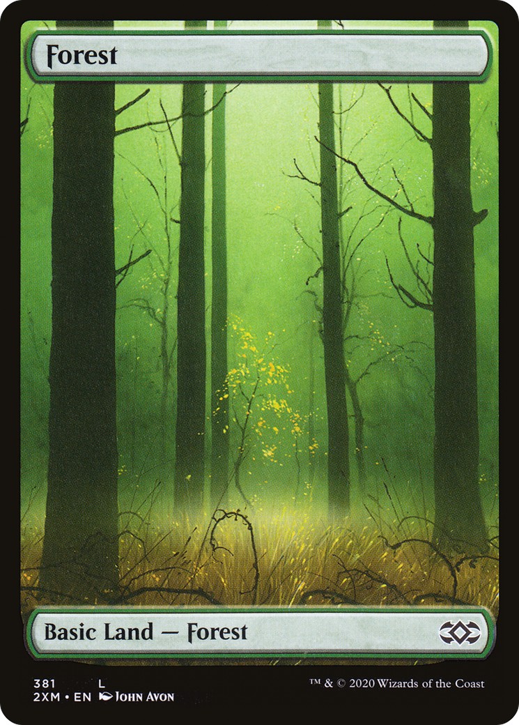 Forest - Image 1