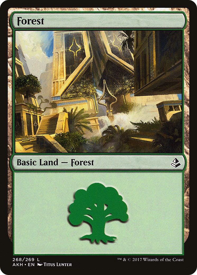 Forest - Image 1