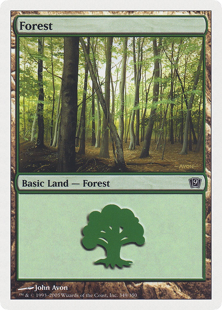 Forest - Image 1